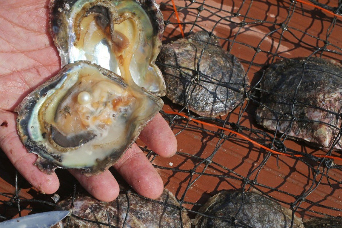 How do oysters make pearls?