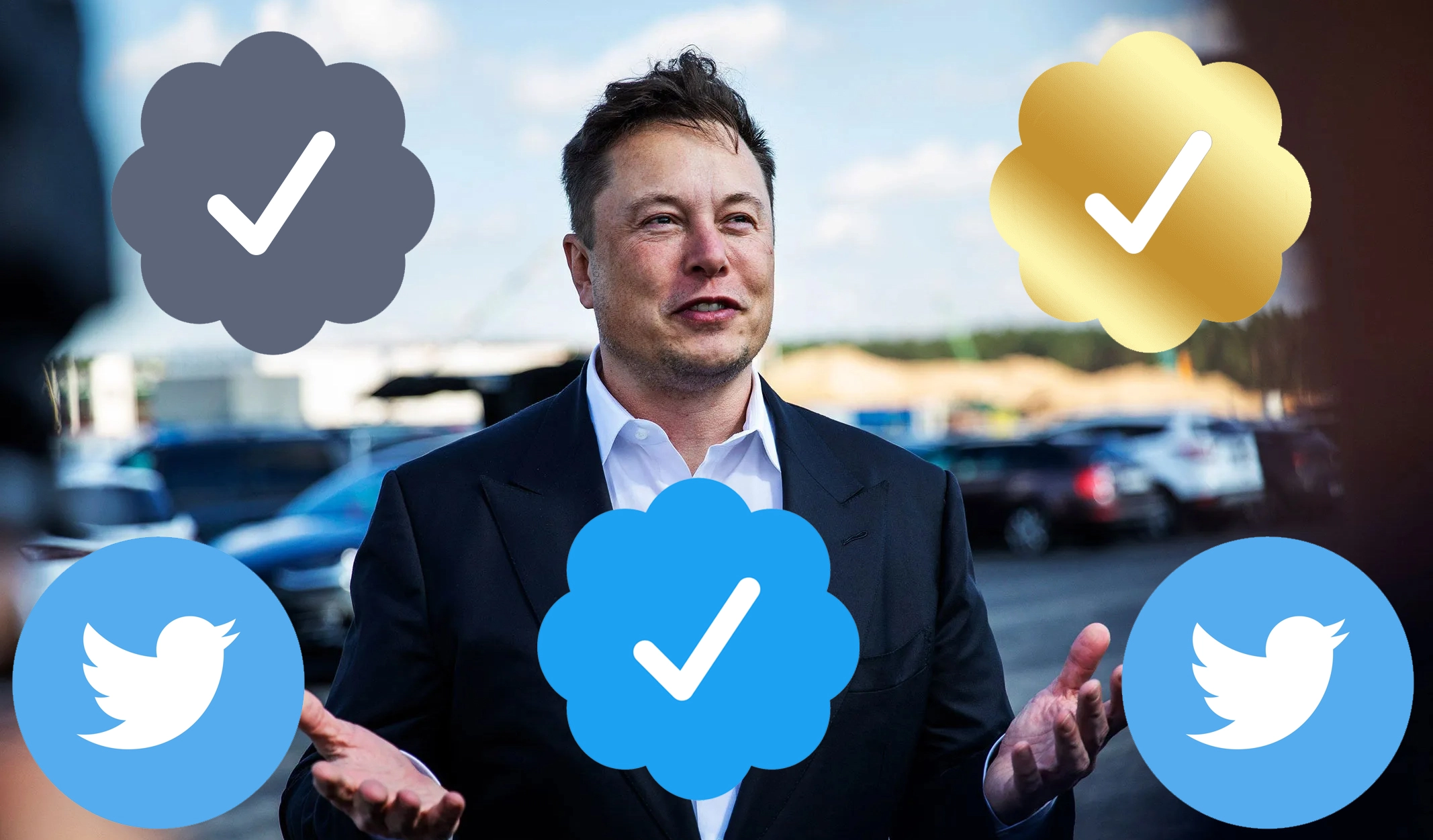 Elon Musk New Badges for Twitter