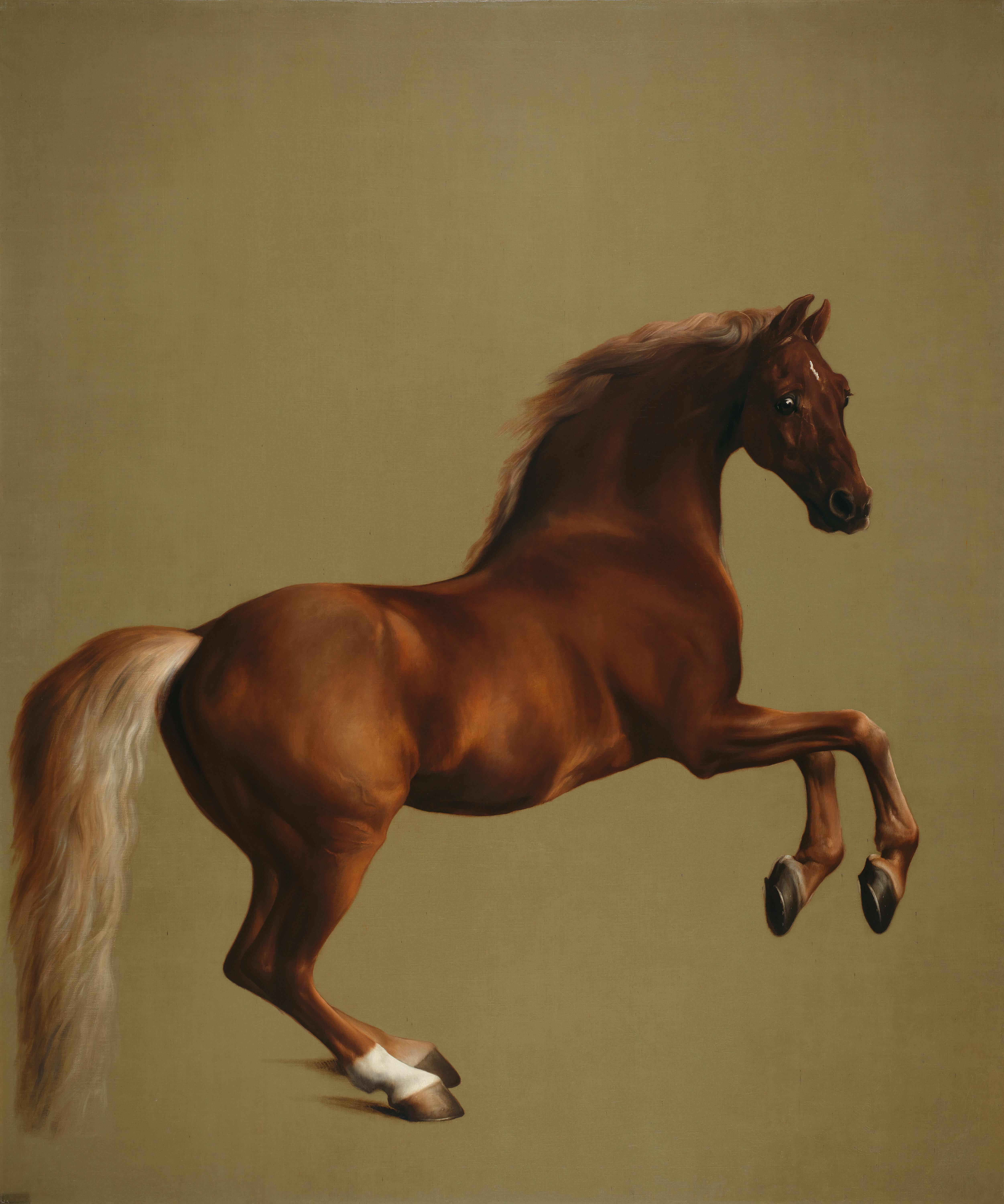 Whistlejacket (1762): This painting is one of Stubbs's most famous works. It depicts a racehorse named Whistlejacket in full gallop. The painting is known for its realism and its depiction of the horse's movement.